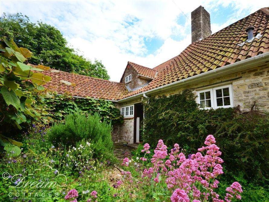 Sixpenny Cottage Upwey 외부 사진